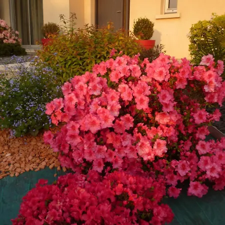 Chez Bernard Et Nicole Bed & Breakfast Betton